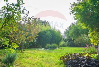 Casă cu 10 camere cu Teren 990 Mp în Sălaj - 4