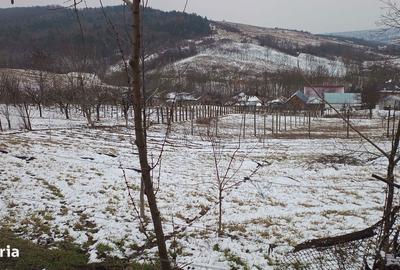 Teren de 704 mp, în Breazu - 10