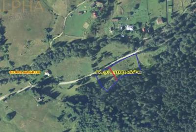 Teren de 1000 mp, în Colibița