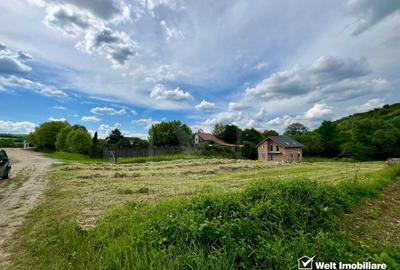 Oportunitate investitie, teren pentru casa, Vlaha