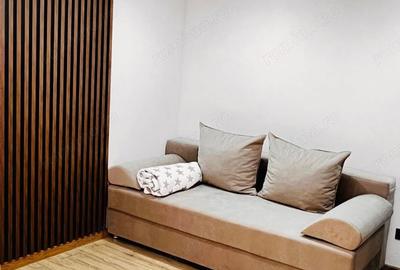 Apartament cu 2 camere decomandat în Doamna Ghica - 4