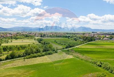 Teren agricol extravilan de 25100 mp, în Prejmer - 17