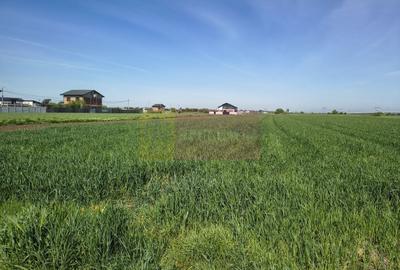 Teren Construcții intravilan de 2200 mp, în Dărăști-Ilfov - 25