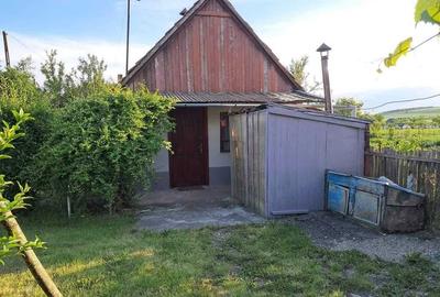 Casă cu 2 camere în Iclod - 3