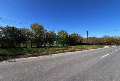 Teren intravilan/Str Balciului/Copacelu - 1