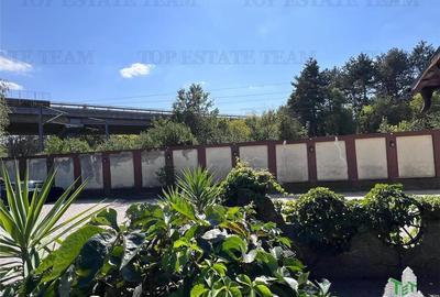 Spațiu comercial, în Brănești - 7