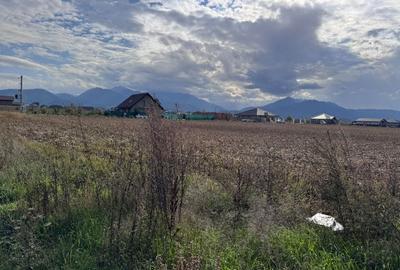 Teren dezvoltare rezidentiala Tarlungeni - zona Izvor - 3