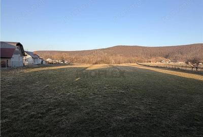 Casă cu Teren 8400 Mp în Pătrăuți - 7