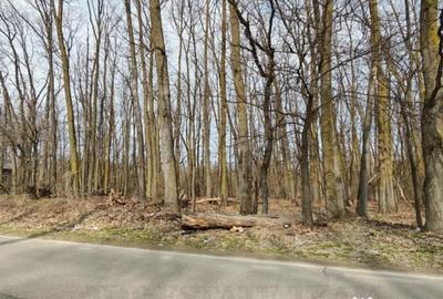 Teren în Corbeanca - 3