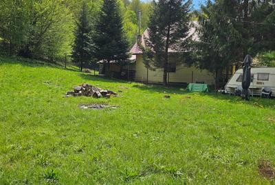 Teren de 2450 mp, în Bulz - 2
