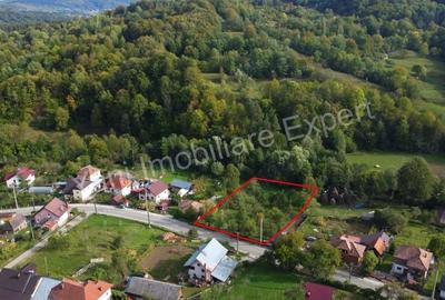 Teren de 2491 mp, în Arefu - 9