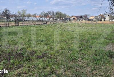 Casă cu 2 camere cu Teren 1399 Mp în Micula - 2