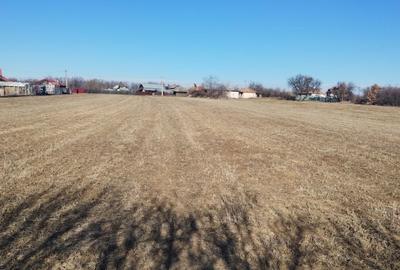 Spațiu comercial, în Poiana Lacului - 5