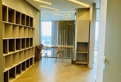 Floreasca | Penthouse | Duplex | Pescariu | 480mp | Gradina - 6