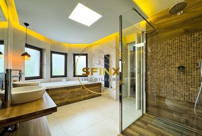 Casa curte proprie Soseaua Alexandriei - 28