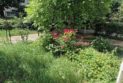 ?Apartament cu 2 camere de vanzare in zona Mioritei - 15