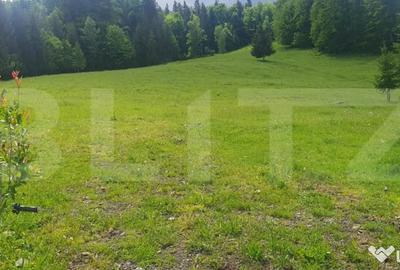 Casă cu 2 camere cu Teren 30000 Mp în Central - 3