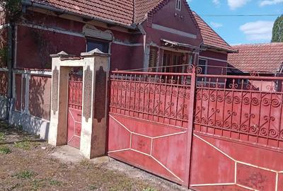 Casă cu 3 camere cu Teren 1400 Mp în Agrișu Mare - 3