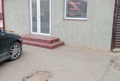 Casa si Teren de vanzare in Biharia - 5