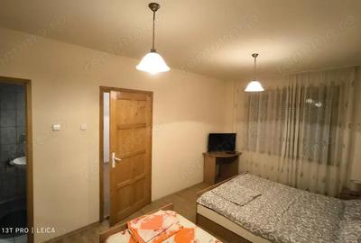 Casă cu 6 camere în Eșelnița - 20