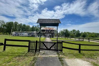 Vanzare teren *oportunitate investi?ie* situat in Carbune?ti-Sat, la DN 67B - 8