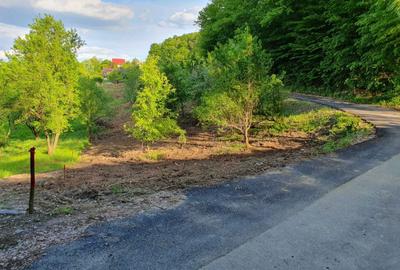 Teren de 450 mp, în Exterior Vest - 2