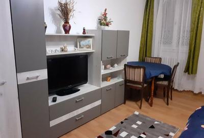 Garsonieră semidecomandată în Dosu Bricii - 2