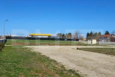 Teren de 1926 mp, în Priseaca - 8