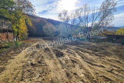 Teren de vanzare in Curtea de Arge?, Strada Anghele?ti. - 13