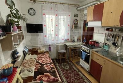 Garsonieră în Paltin - 4