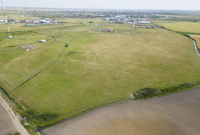 Teren intravilan de 26,606mp Sacalaz - 12