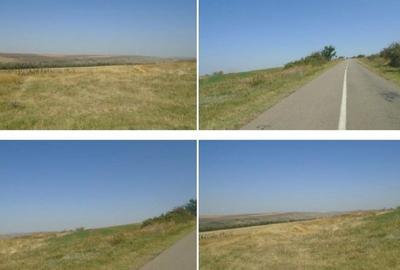 Teren de 6000 mp, în Vârlezi - 1