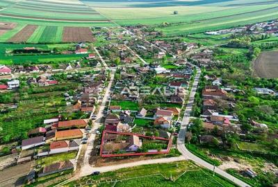 Casă cu 5 camere cu Teren 1370 Mp în Bodrogu Nou - 3