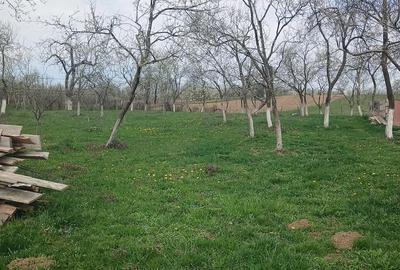 Casă cu Teren 22 Mp în Sălăjeni - 2