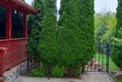 Colt de rai intr-un peisaj de poveste! Casa 4 camere intre D Colt de rai intr-un peisaj de poveste! Casa 4 camere intre D - 8