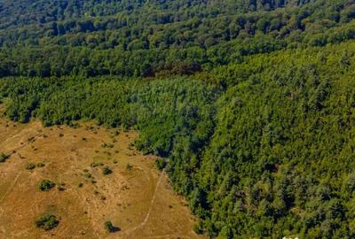 Teren de 6000 mp, în Crizbav - 8