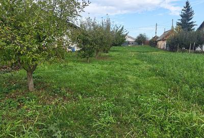 Teren Intravilan Miroslava 1640mp - 3