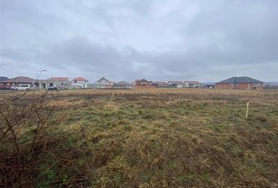 RECO teren Episcopia - 1