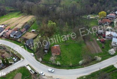 Casă cu 2 camere cu Teren 5800 Mp în Valea Danului - 7