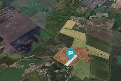 Teren extravilan de 28900 mp în Variașul Mare Teren extravilan de 28900 mp în Variașul Mare - 5