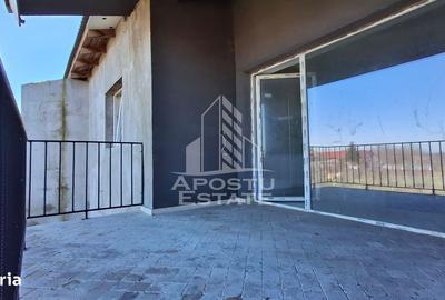 Casă cu 4 camere în Remetea Mică - 2