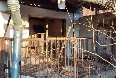 Casă cu 3 camere în Central - 1