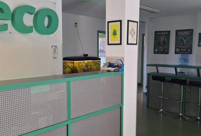 Cladire de birouri Piata Presei Libere Cladire de birouri Piata Presei Libere - 2