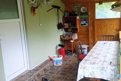 Cabana de vinzare - 4