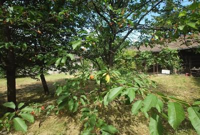 Casa, anexe si teren amplasate central in municipiul Brad - 13