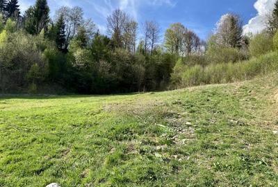 Teren panoramic insorit, utilitati, panta mica si padure, turism sau vacanta - 14