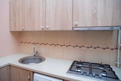 Ultracentral - Apartament 1 camera, Palatul Victoria, Piata Operei - 3