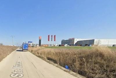 Teren de 17000 mp, în Bolintin-Deal - 5