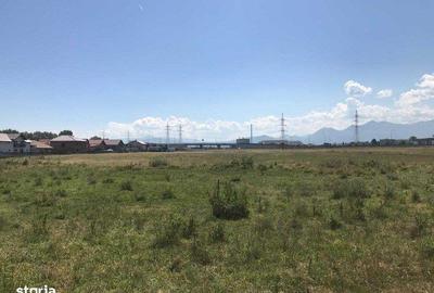 Teren de 30000 mp, în Sânpetru - 4