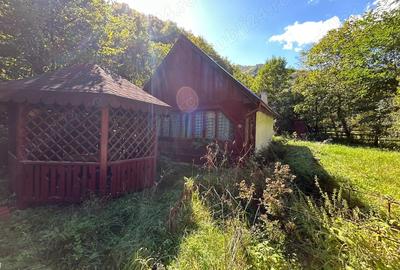 Cabana de vanzare, Valea Manastirii - Ramet - 5